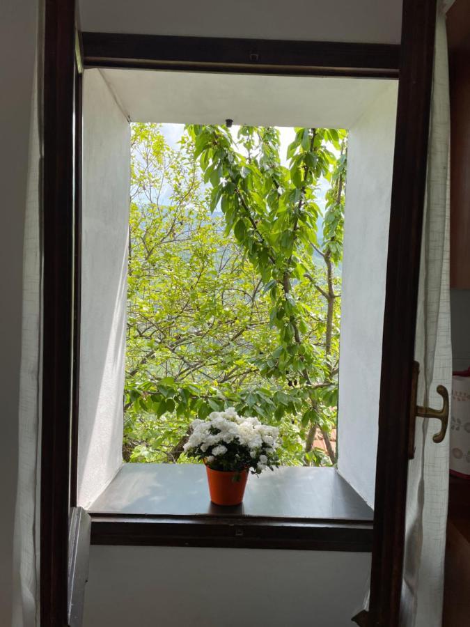 Ferienwohnung Casa Di Nonno Meme Citra 008035-Lt-0018 Andagna Exterior foto
